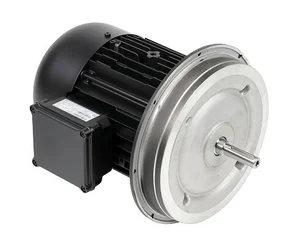 Электродвигатель Weishaupt W-D112/170-2/7K0