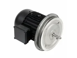Электродвигатель Weishaupt W-D132/210-2/12K0