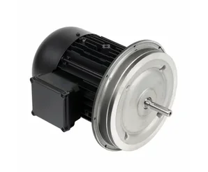 Электродвигатель Weishaupt W-D132/210-2/12K0