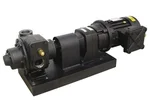 Насос для бензина Gespasa BDP-200