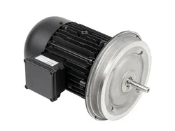 Электродвигатель Weishaupt W-D112/170-2/5K5