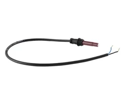 ИК-датчик пламени Ecoflam QRB1B-A042B20B