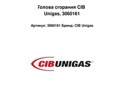 Голова сгорания CIB Unigas, 3060161